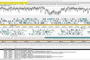 Artemis Genome Browser