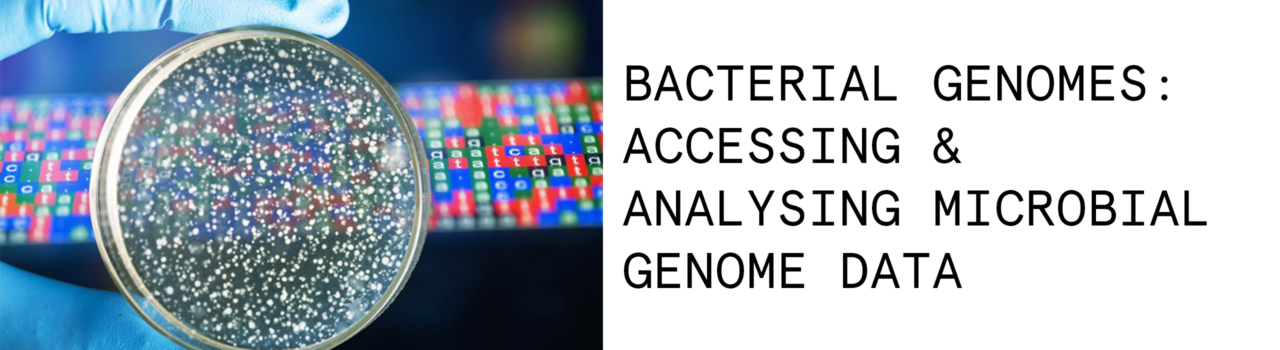 Bacterial Genomes