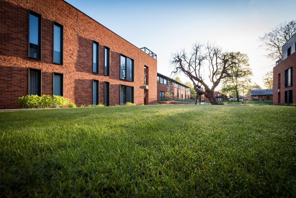 The rare Mulberry tree, after which the Mulberry Court accommodation block is named Mulberry Court accommodation block