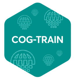 COG-Train