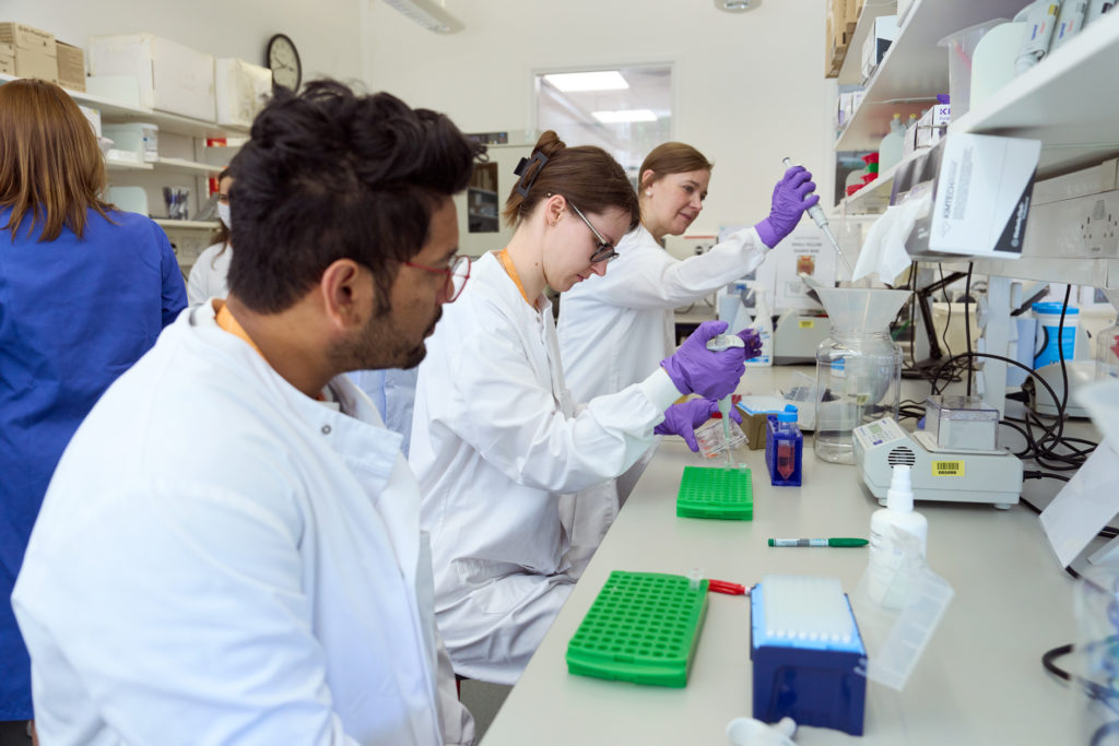 Colour photo of three scientists working in our first-class laboratory facilities, wearing lab coats and gloves, whilst using pipettes. 