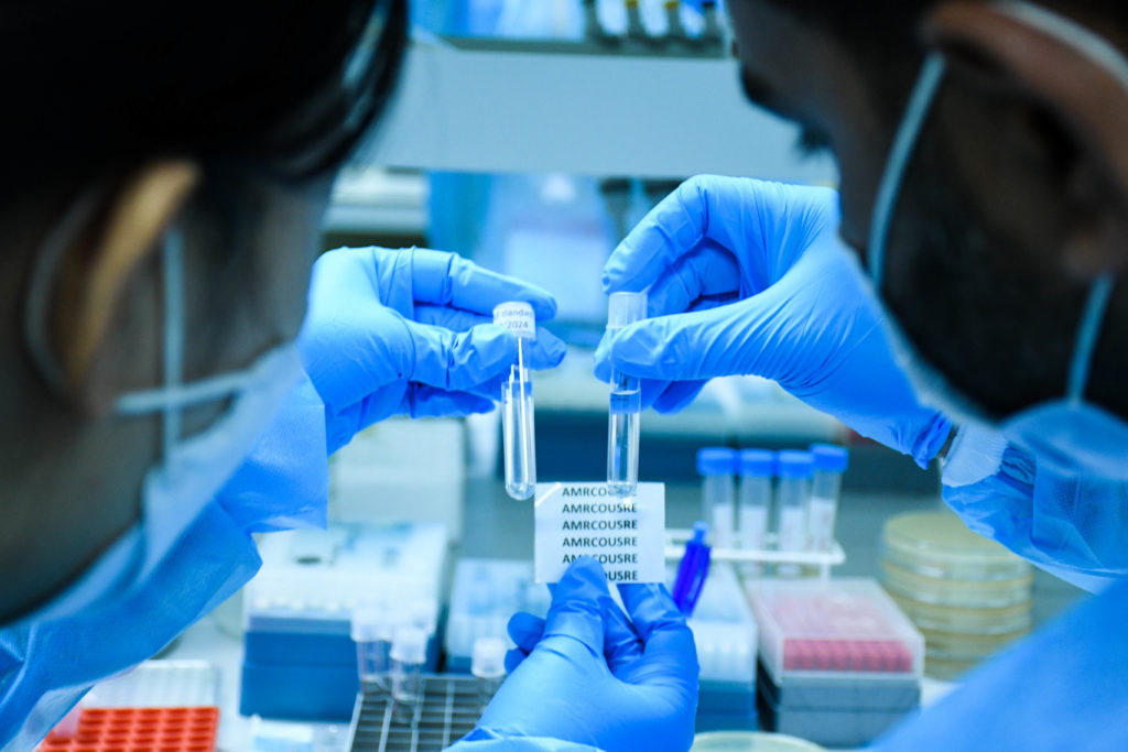 Two AMR course participants working in a training laboratory