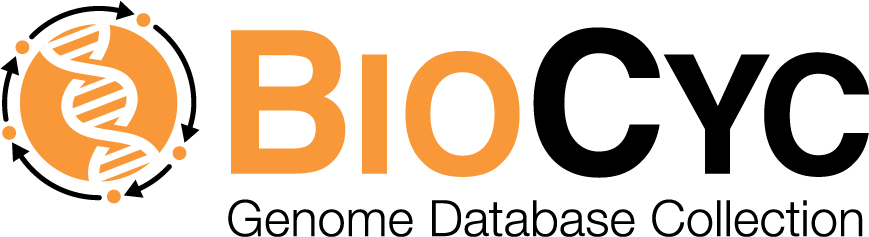 Synthetic Biology for Health and Sustainability — 20241021 – Wellcome ...