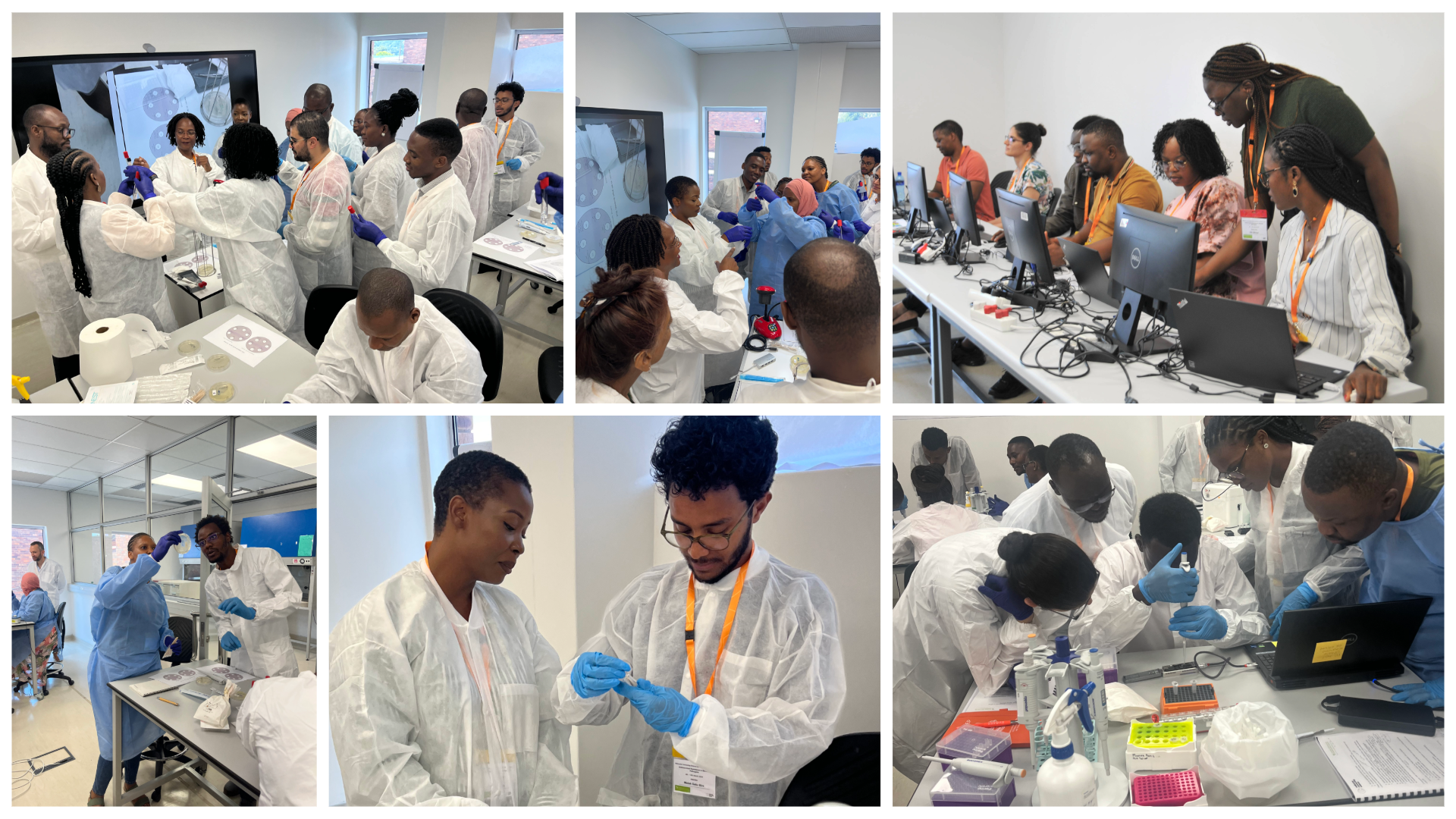 A selection of AMR course images showcasing participants engaged in a variety of laboratory training exercises. 