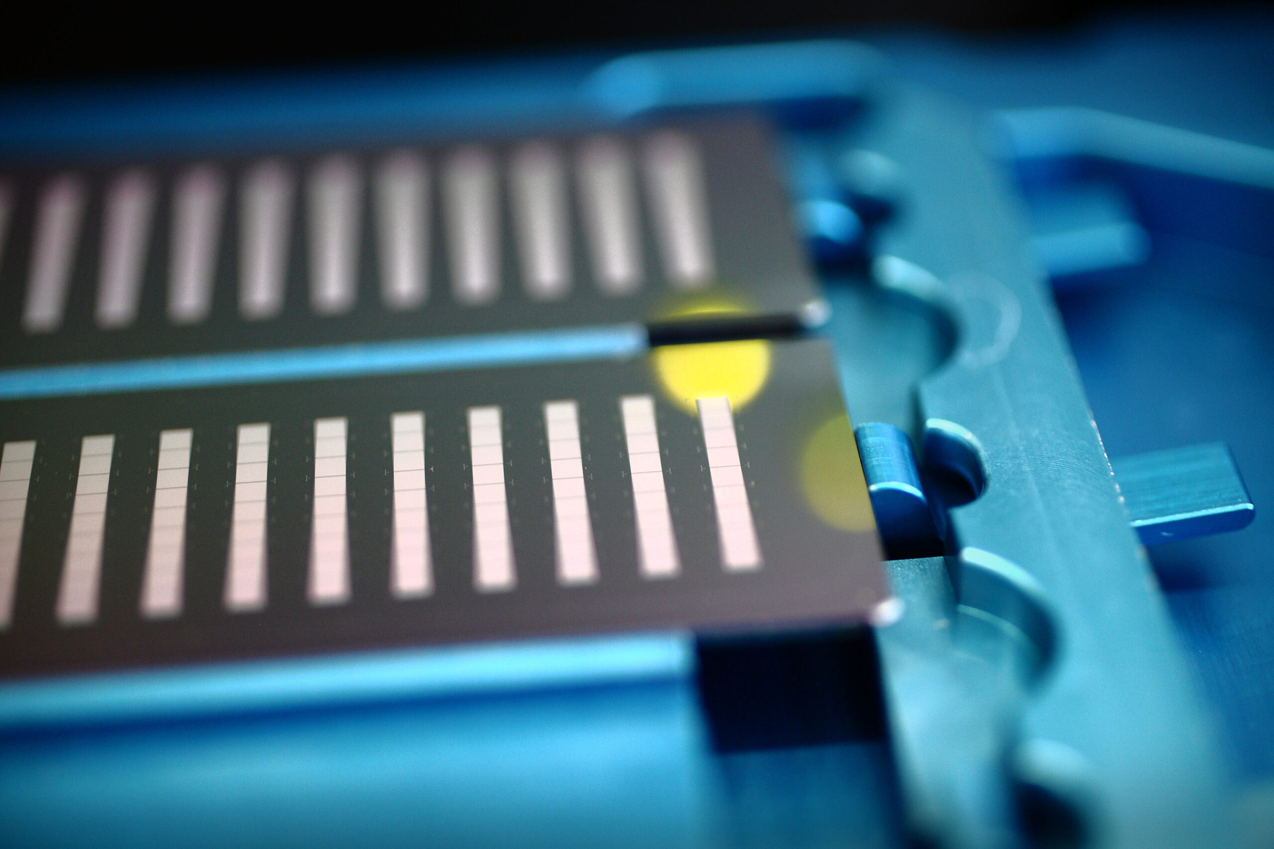 Microarray chip on a precision blue holder